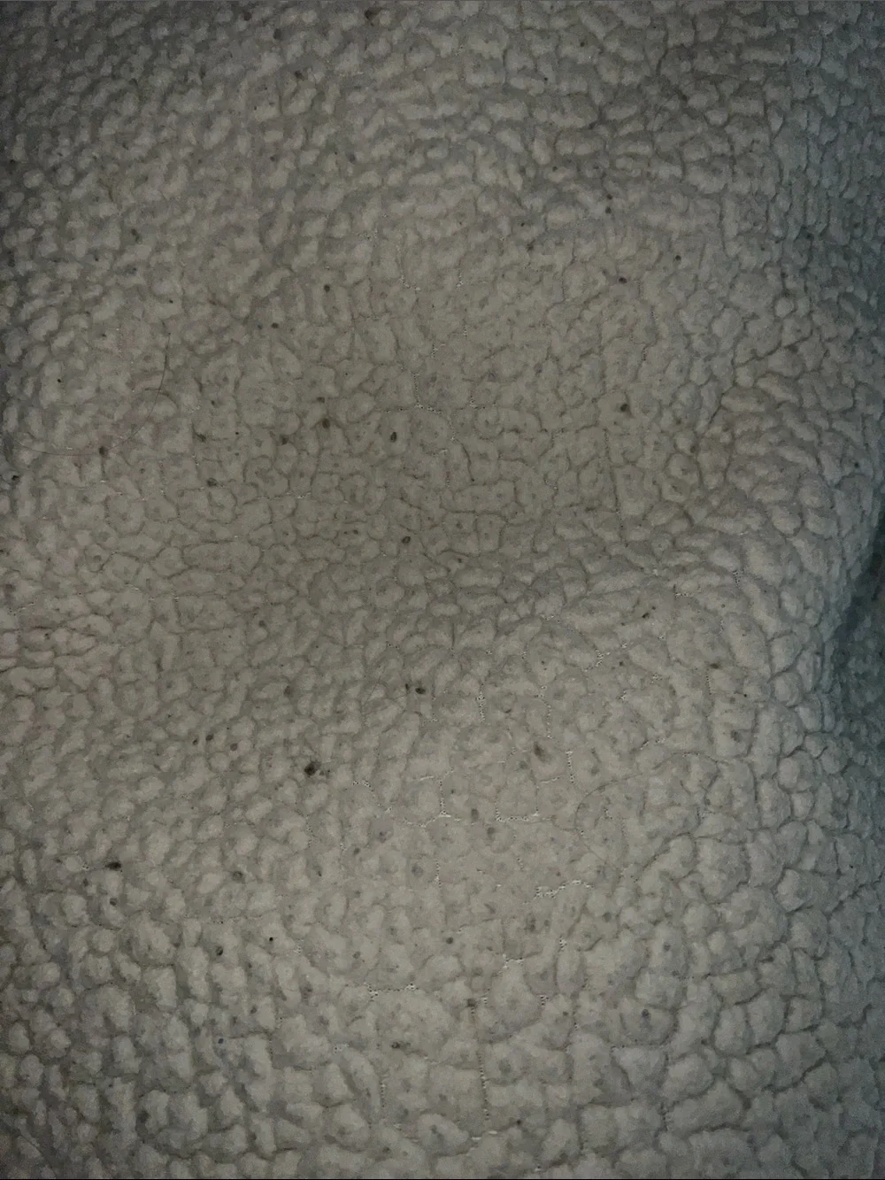 Beige Velour Cream Sherpa Throw Blanket